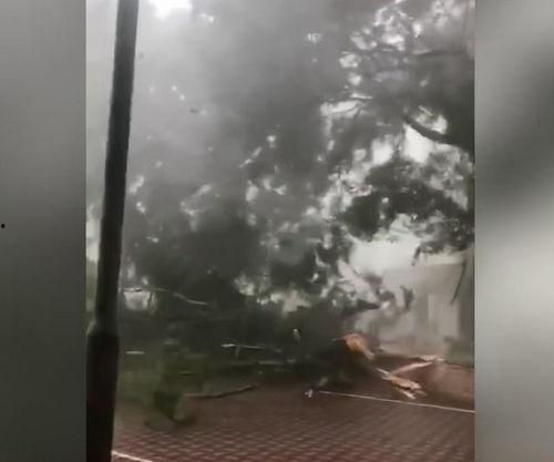 风大的视频,风大视频深度解析